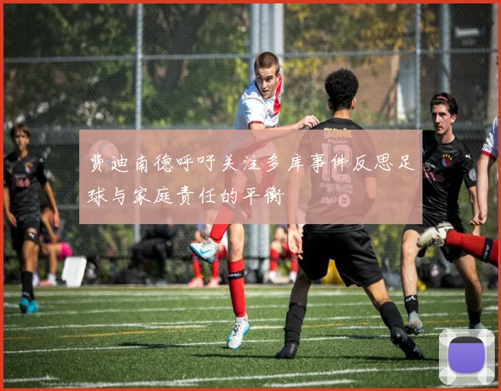 费迪南德呼吁关注多库事件反思足球与家庭责任的平衡