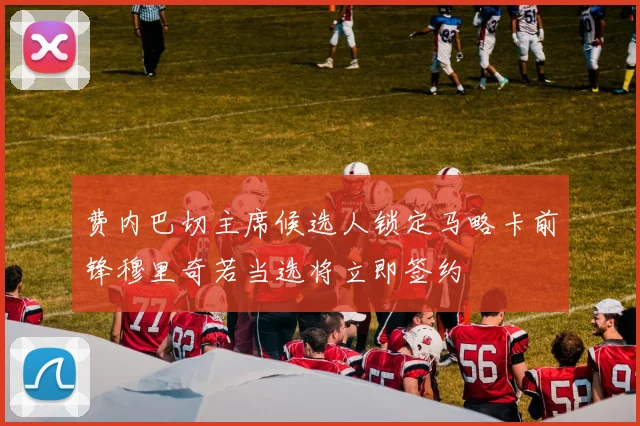 费内巴切主席候选人锁定马略卡前锋穆里奇若当选将立即签约